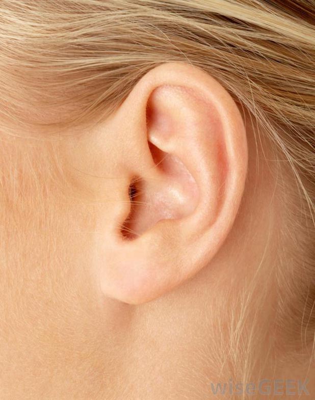 womans-ear