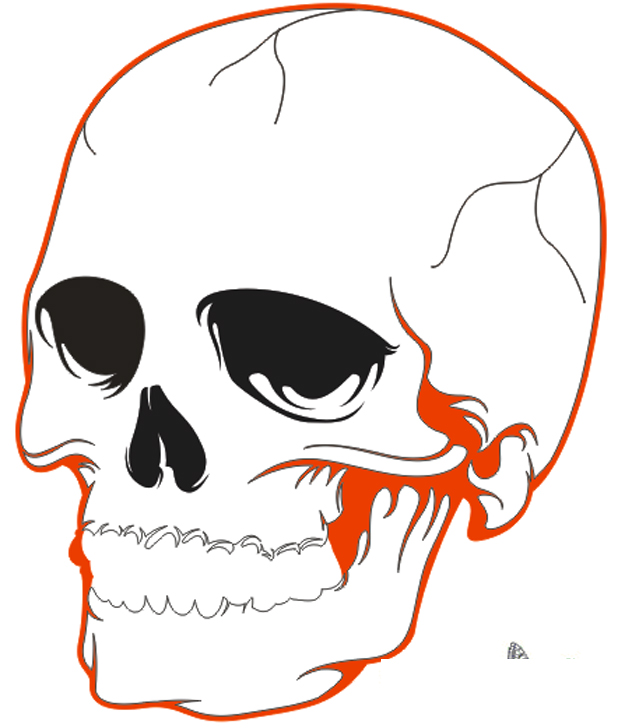 A full skull drawing