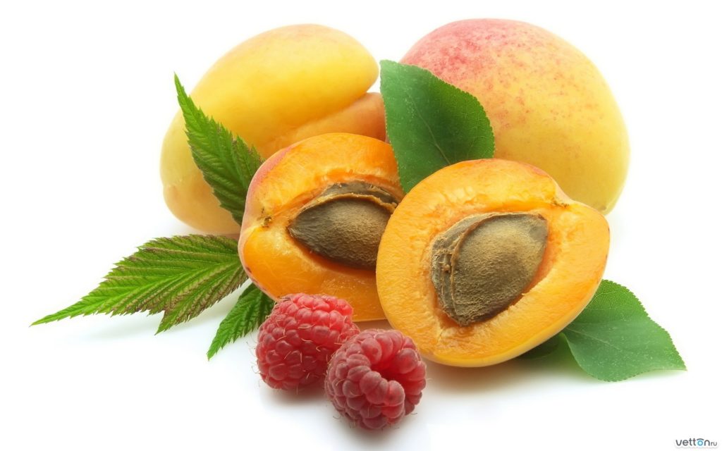 Apricot Benefits